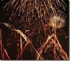 fireworks by ronan odonohoe on flickr small
